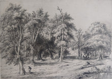 Load image into Gallery viewer, David Charles Read, British 1790-1851 dry point etching Lyndhurst, New Forest.
