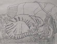 Load image into Gallery viewer, Sheila Horton, 20th Century British. Artist proof signed etching. Fred Asleep.
